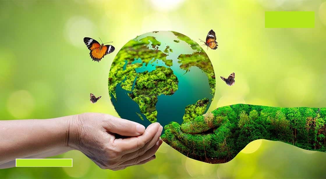 Embracing Environmental Responsibility: A Guide for Businesses