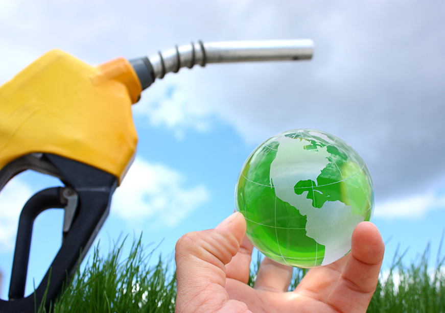 Biofuels: Can Biotechnology Help Reduce Carbon Emissions?