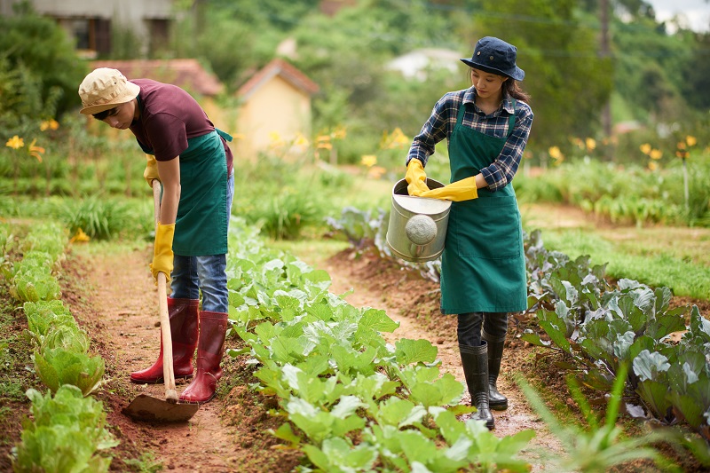 Biopesticides vs. Chemical Pesticides: Which Is Better?