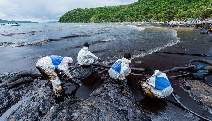 Bioremediation: How Bacteria Can Clean Up Oil Spills