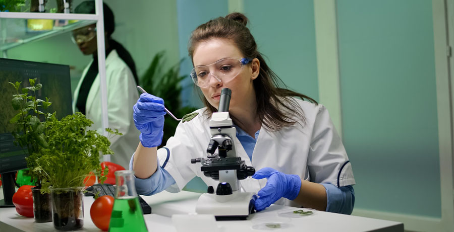 History and Evolution of Biotechnology