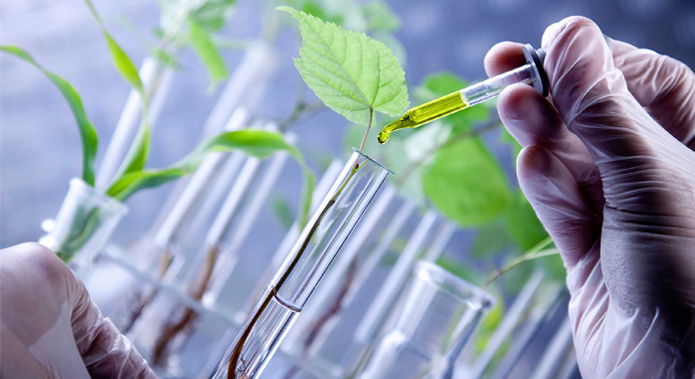 How Biotechnology Is Improving Crop Yield and Food Security