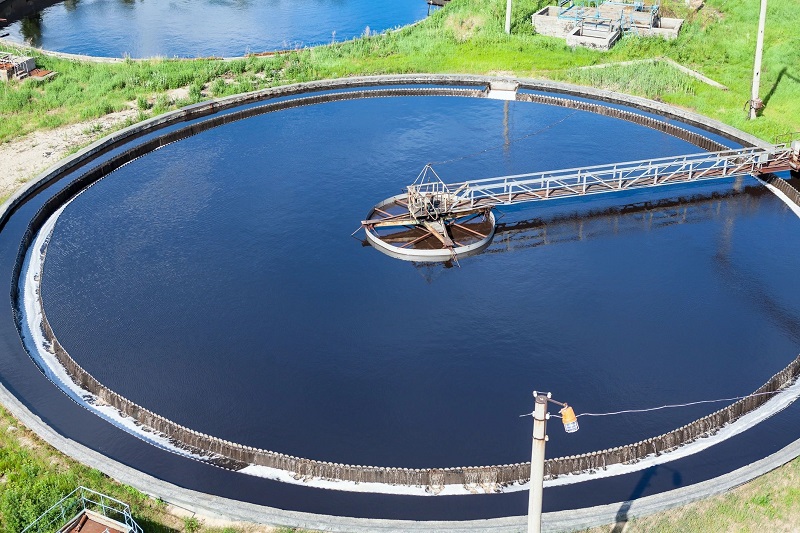 How Microorganisms Are Used in Industrial Biotechnology