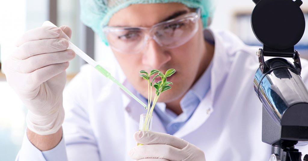 Introduction to Biotechnology: What It Is and Why It Matters