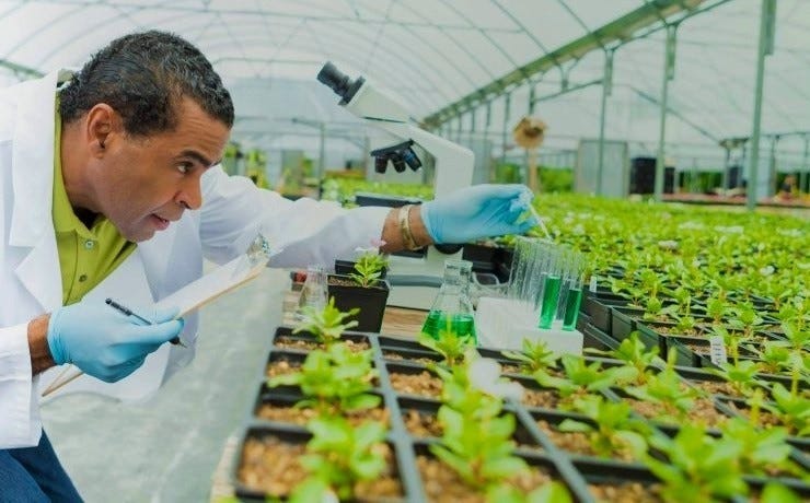 Key Applications of Biotechnology in Daily Life