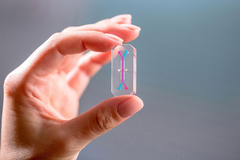 The Future of Organs-on-a-Chip in Drug Testing