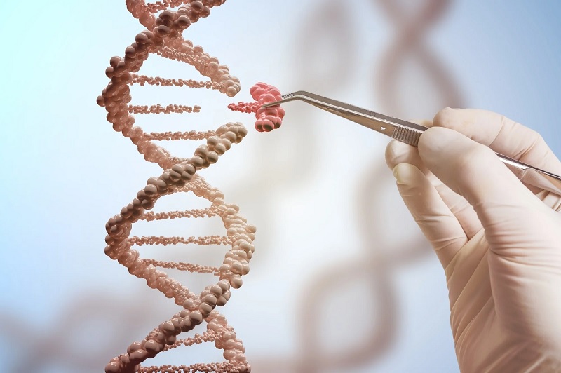 The Role of CRISPR (Clustered Regularly Interspaced Short Palindromic Repeats) in Treating Genetic Disorders